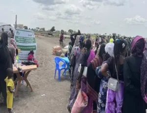 food distribution 2